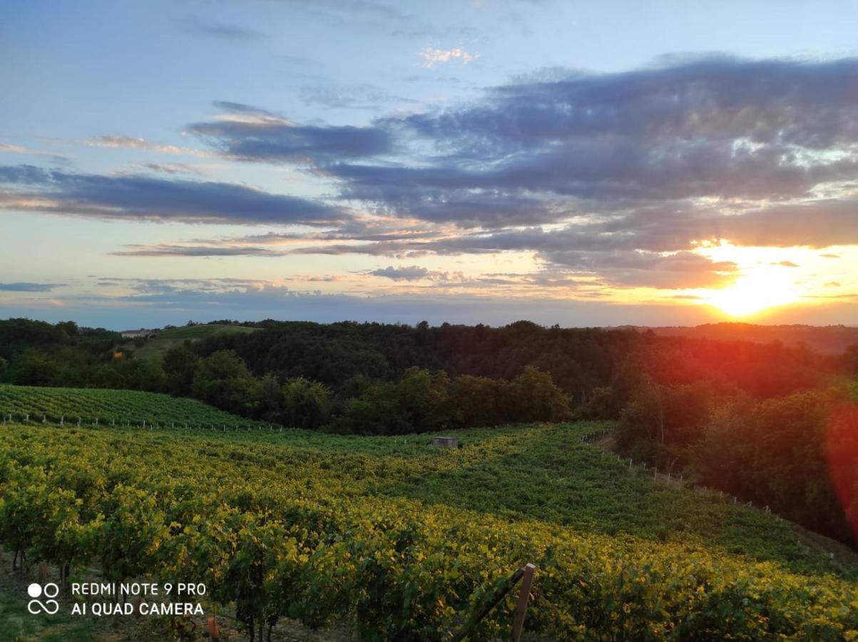 Oasi Del Monferrato - Appartamento Rosso Mombercelli Экстерьер фото