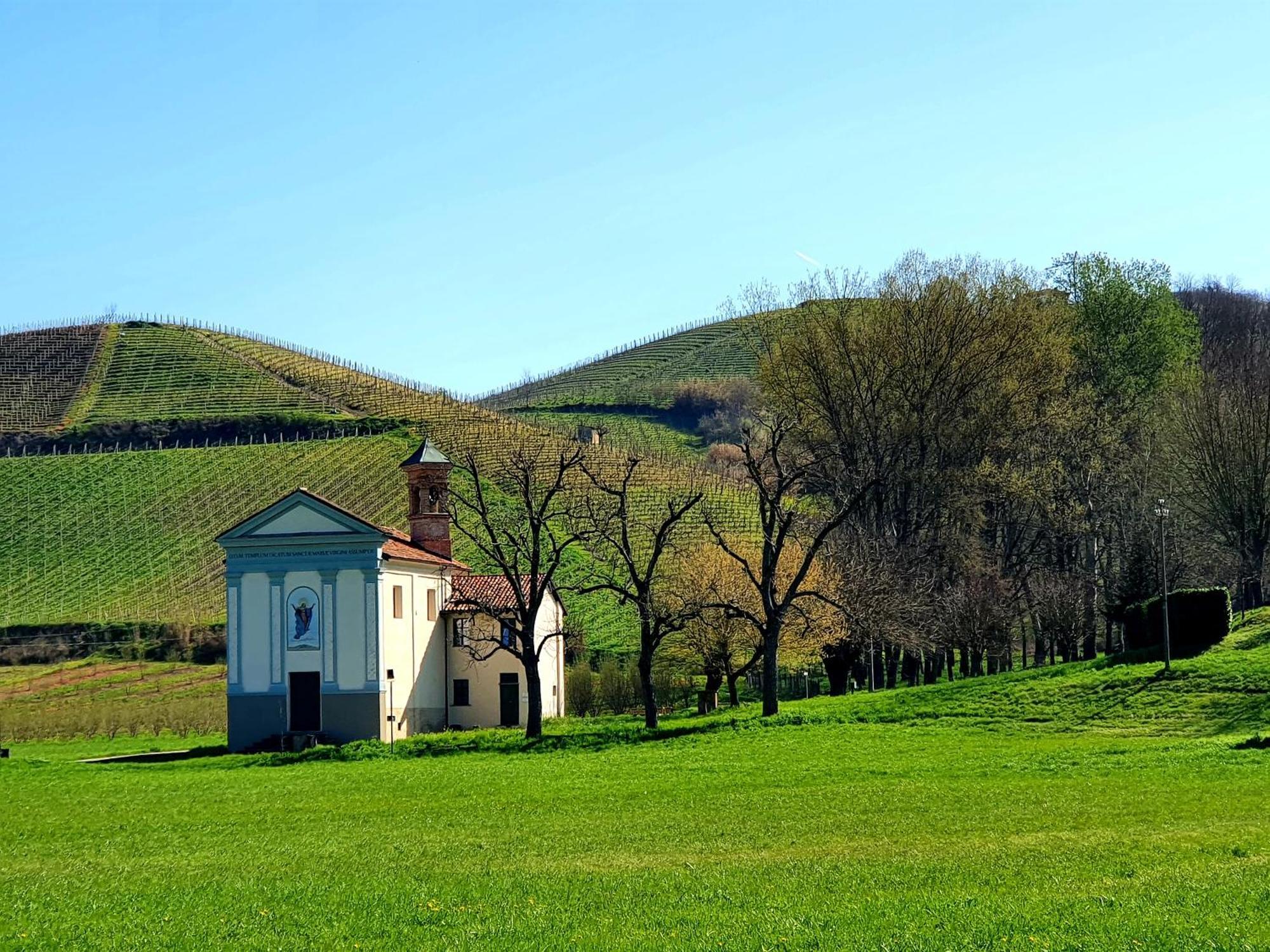 Oasi Del Monferrato - Appartamento Rosso Mombercelli Экстерьер фото